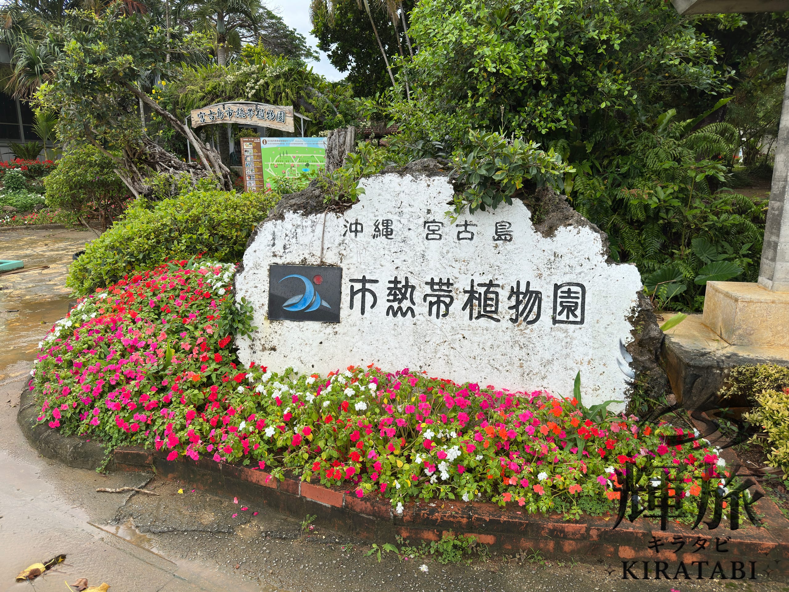 2026年5月宮古島旅行 完全攻略!梅雨・費用・子連れ計画術の写真6