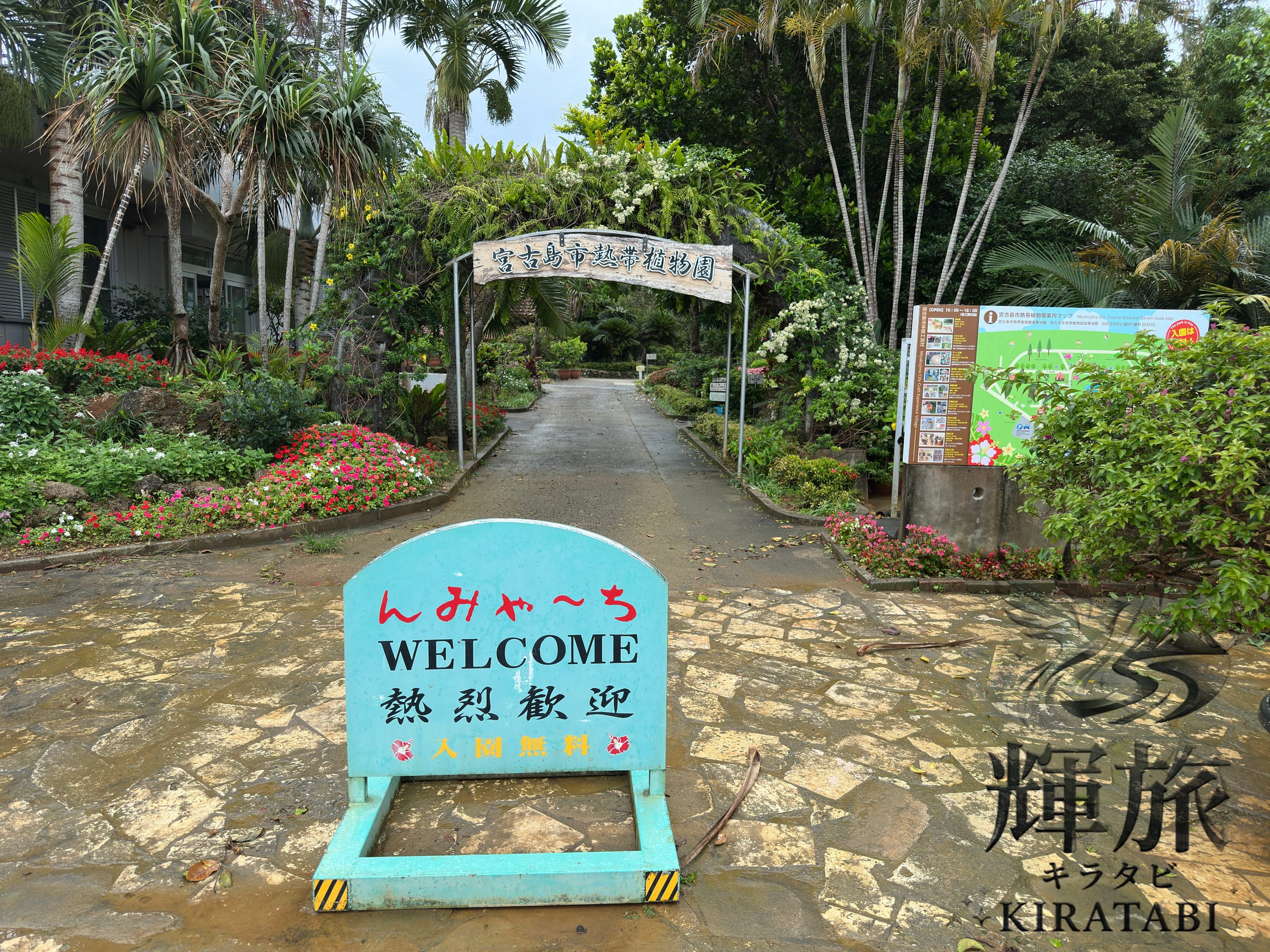 2026年5月宮古島旅行 完全攻略!梅雨・費用・子連れ計画術の写真7