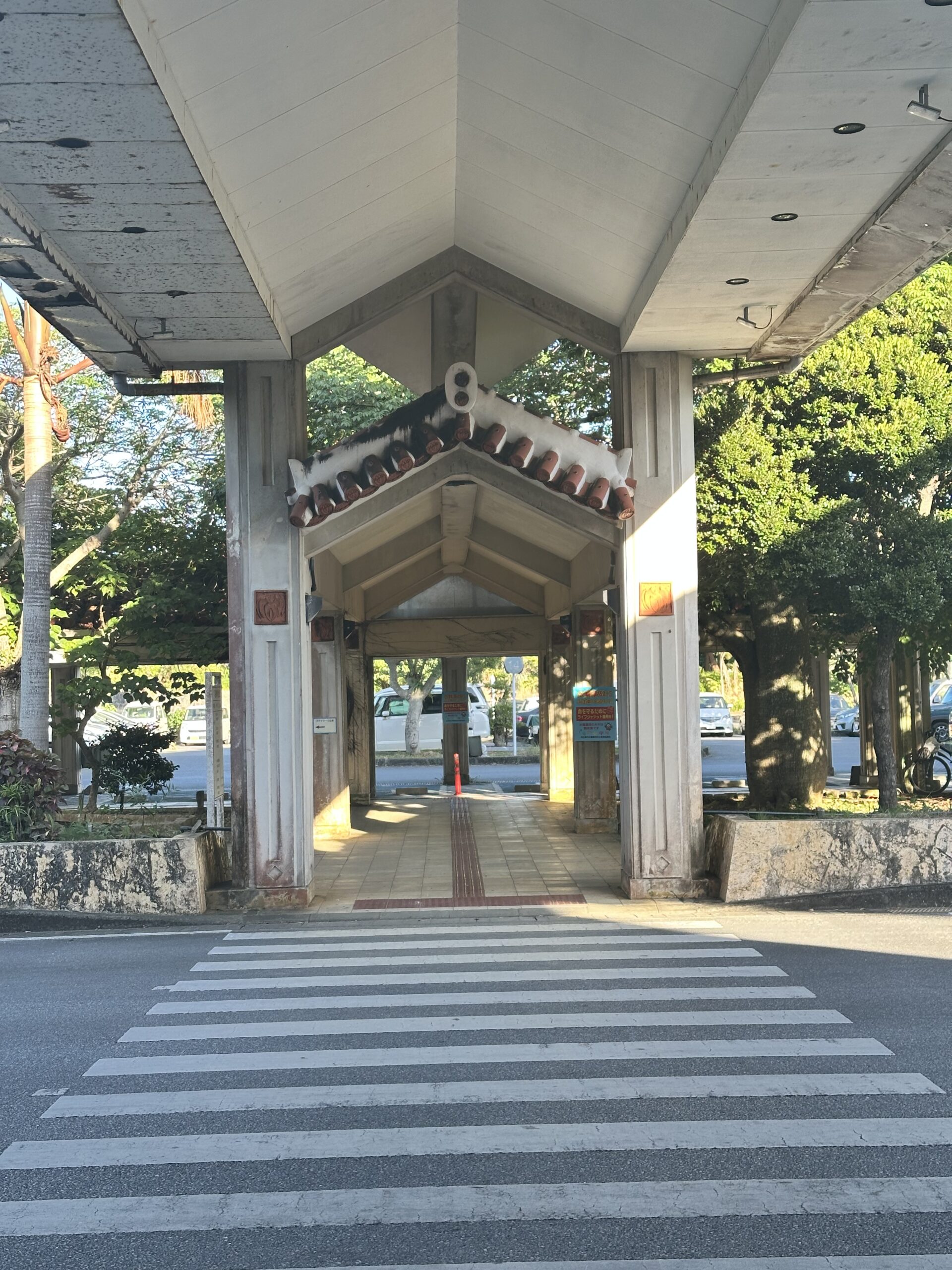 マイパマの写真