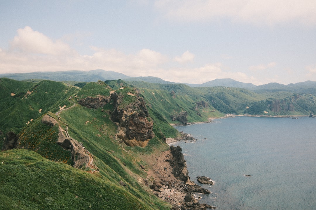 Green coastal cliffs meet the ocean under a clear sky.
